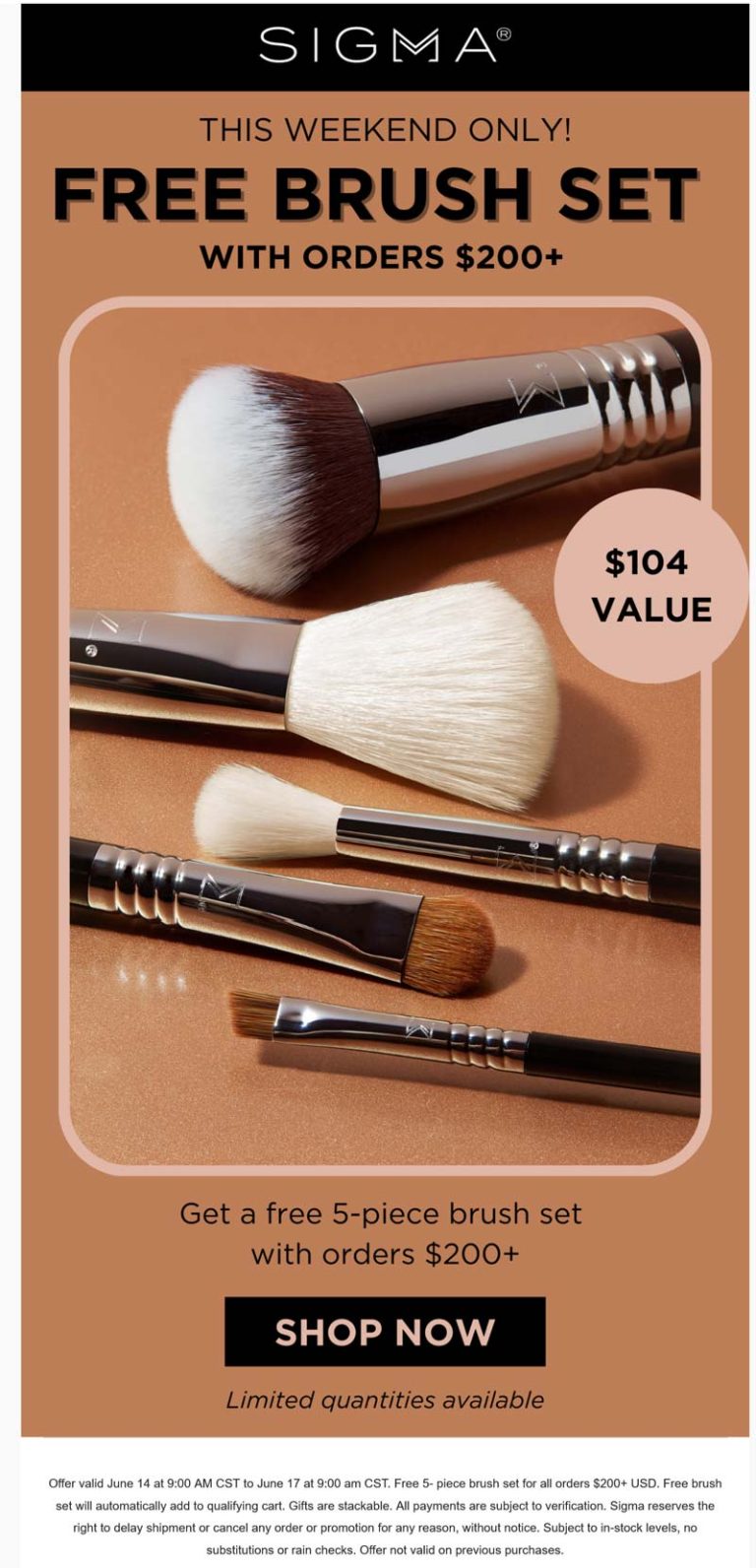 Free 5pc brush set on $200+ at Sigma