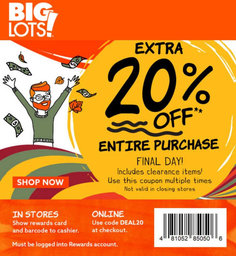 Extra 20% off everything today at Big Lots, or online via promo code DEAL20